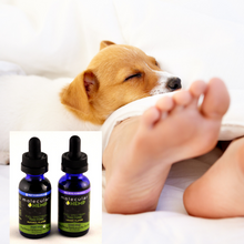 Load image into Gallery viewer, 500 mg + 250 mg Me and My Pet Bundle, Full Spectrum CBD MCT Oil Tincture, Lemon Flavor