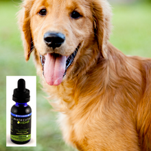 Load image into Gallery viewer, 250 mg PET Formula Full Spectrum CBD and MCT Oil Tincture, Natural Flavor-8 mg CBD rich extract per serving